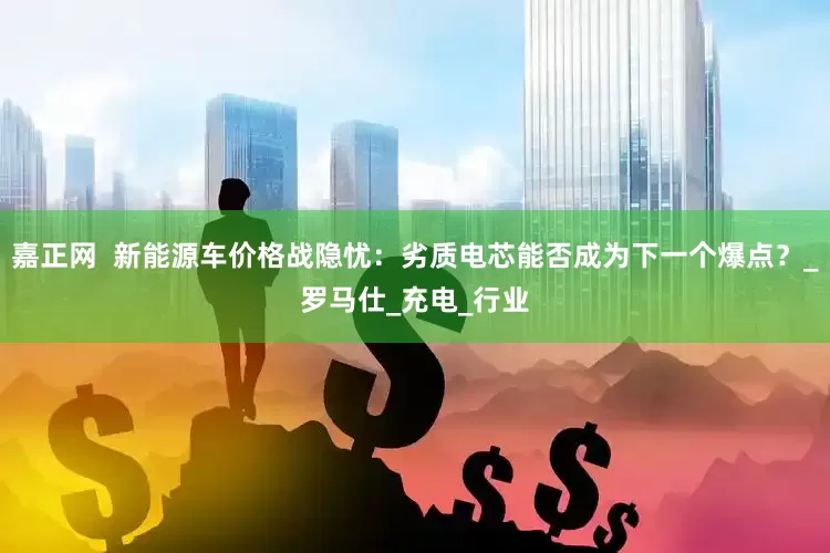 嘉正网  新能源车价格战隐忧：劣质电芯能否成为下一个爆点？_罗马仕_充电_行业